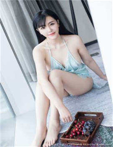 甲贺忍法帖